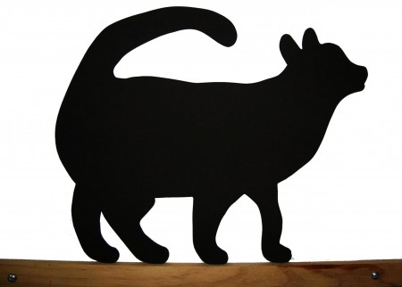 Gatinho Marrento