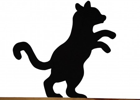Gatinho Sapeca