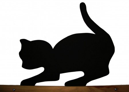 Gatinho Curioso